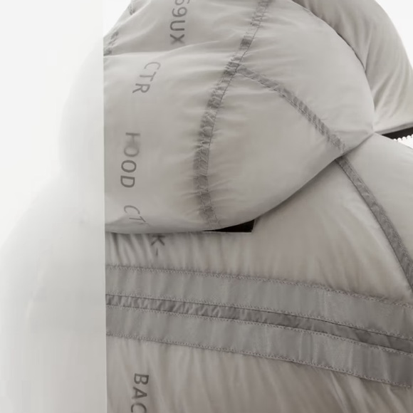 Canada goose chilliwack - Picture 4 of 5